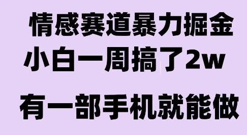 情感暴力掘金项目,新人操作一周挣了2W,长期稳定小白可做【揭秘】