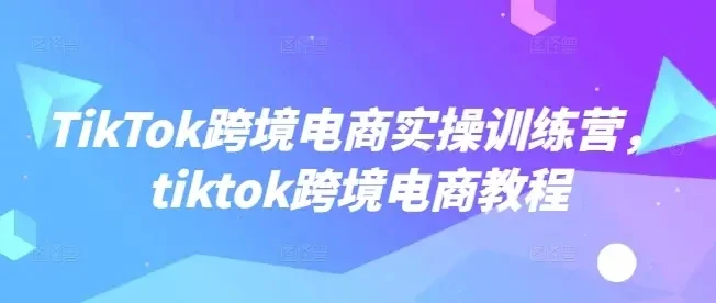 【精】TikTok跨境电商实操训练营，tiktok跨境电商教程