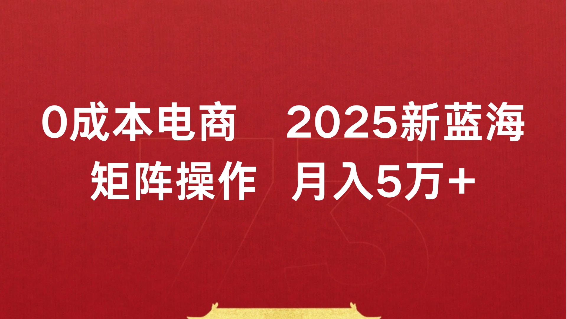 0成本电商,2025新蓝海,矩阵操作 月入5万+