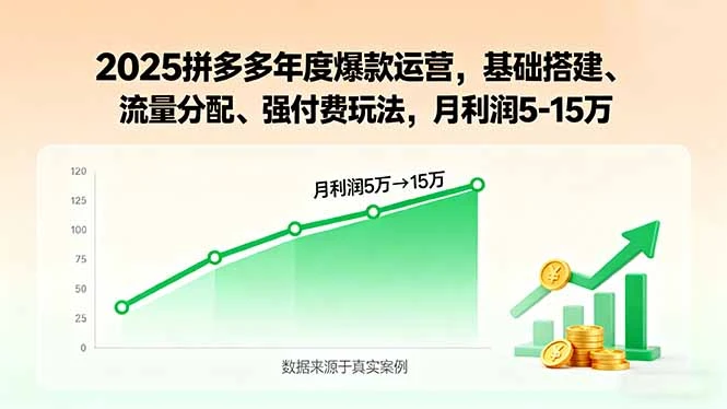 【精】2025拼多多年度爆款运营,基础搭建、流量分配、强付费玩法,月利润5-15万